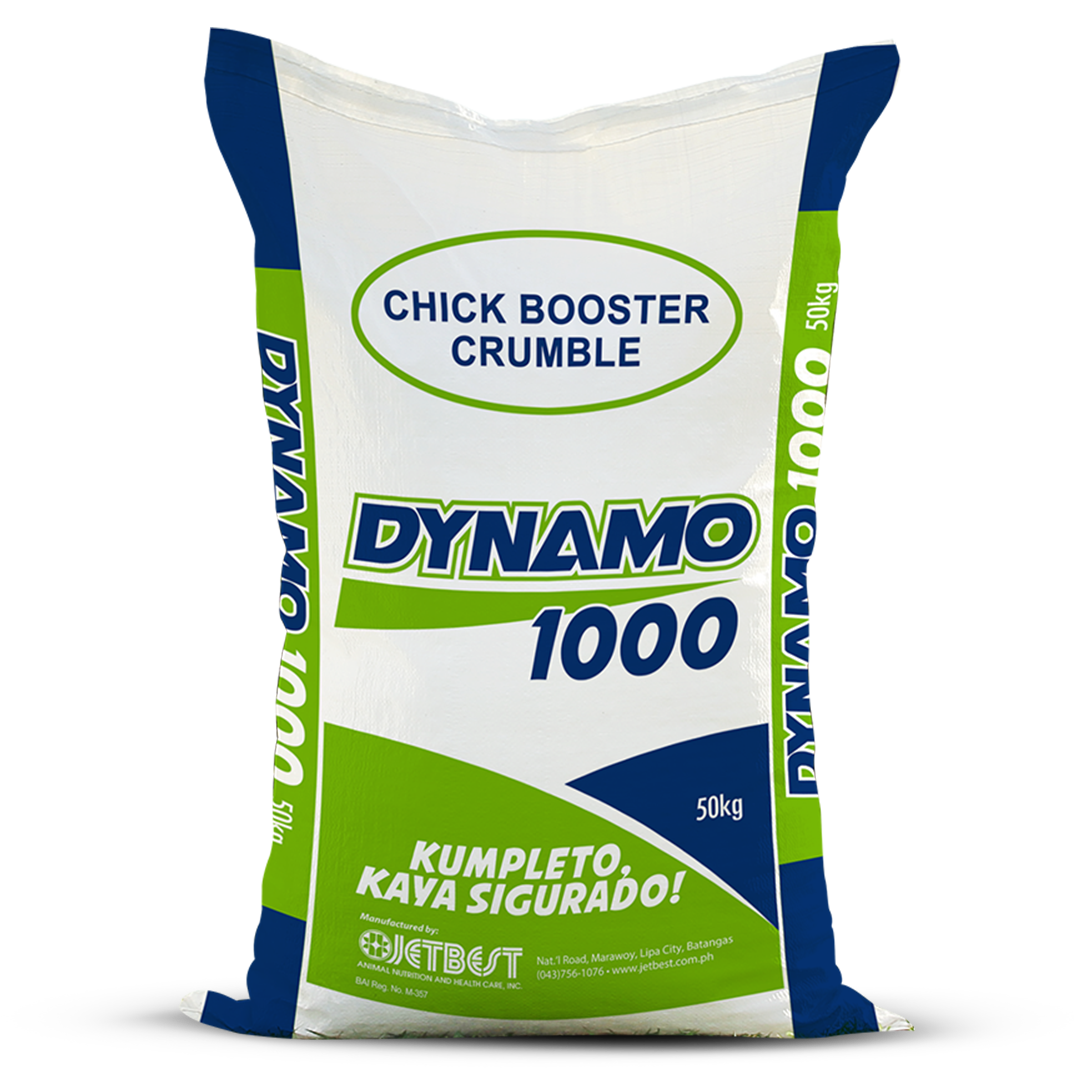 dynamo_1000