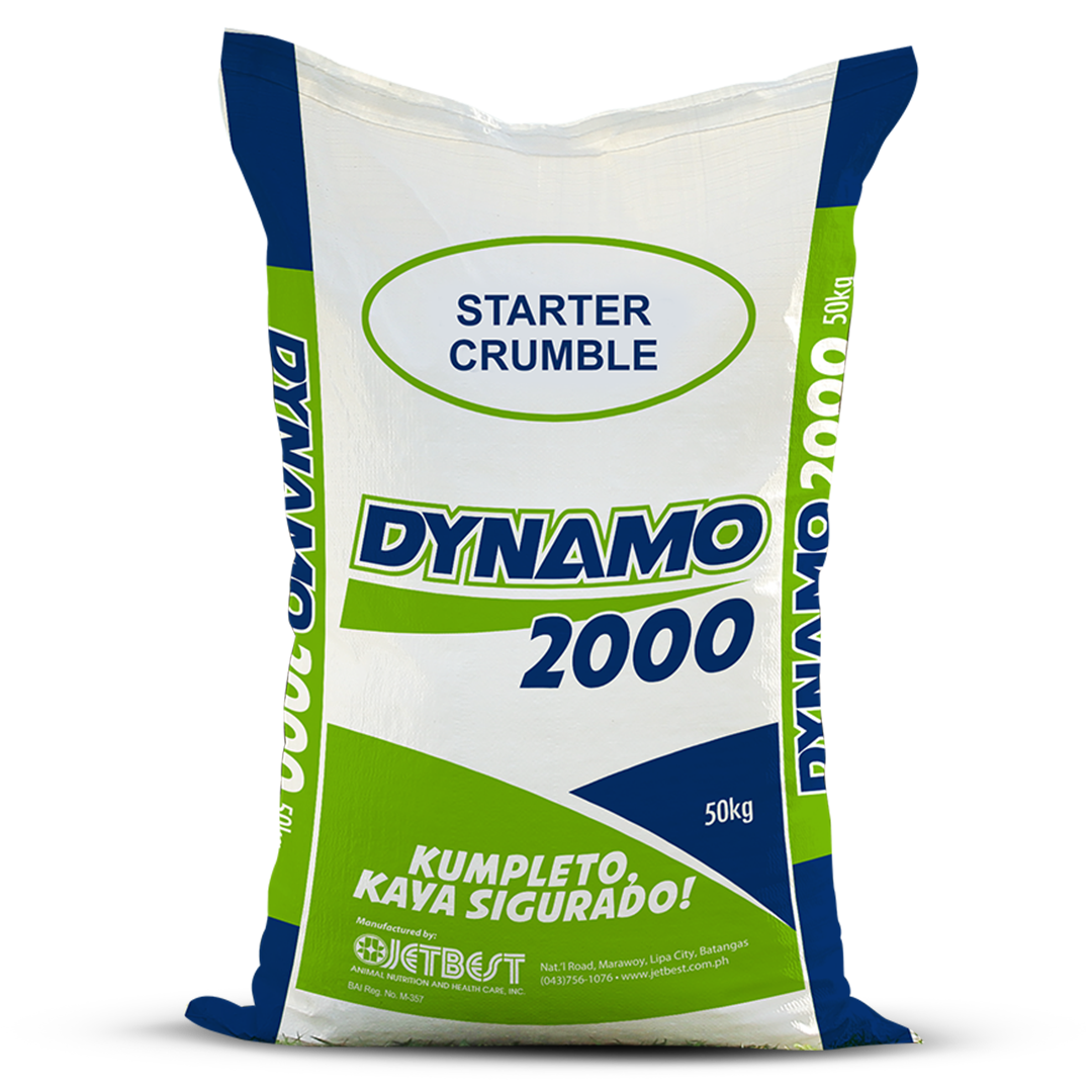 dynamo_2000