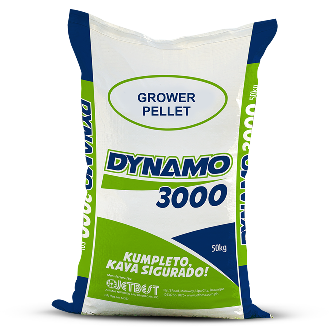 dynamo_3000