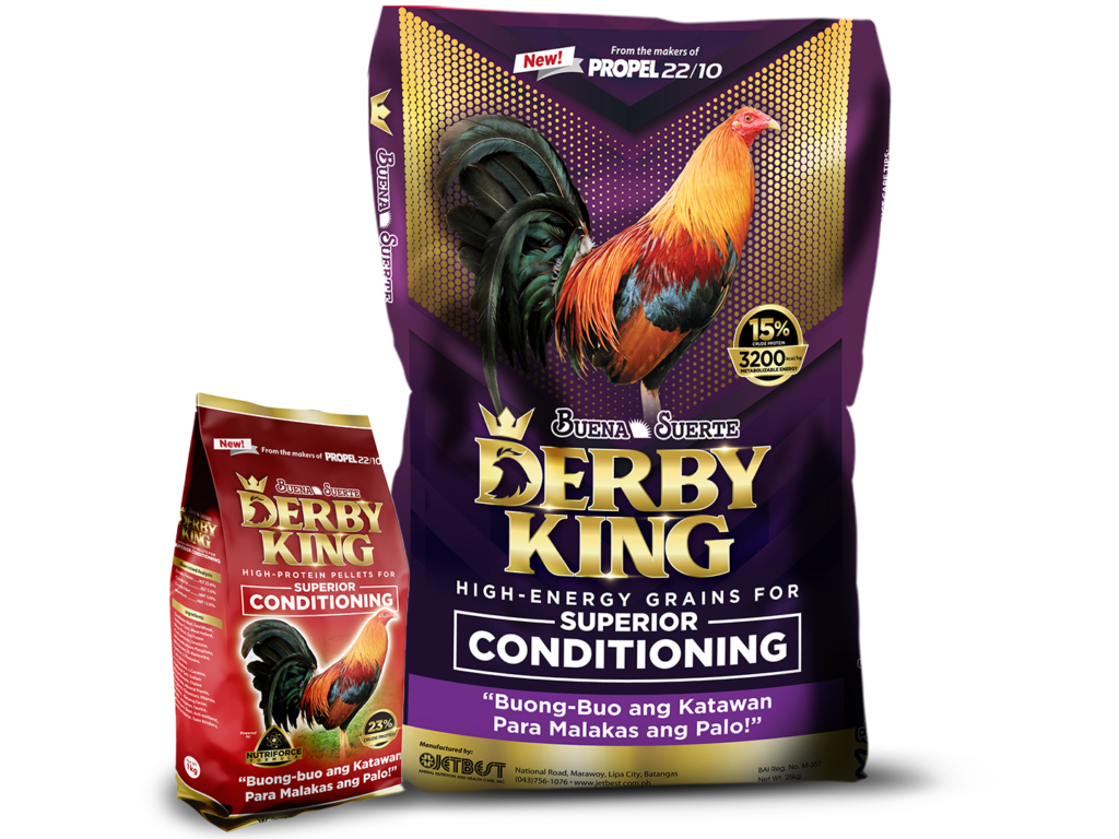 group_bsderbyking