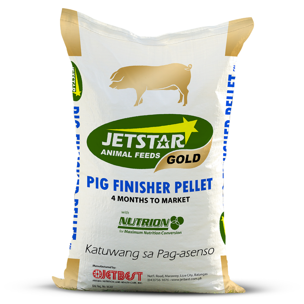 jsgold_pig-finisher