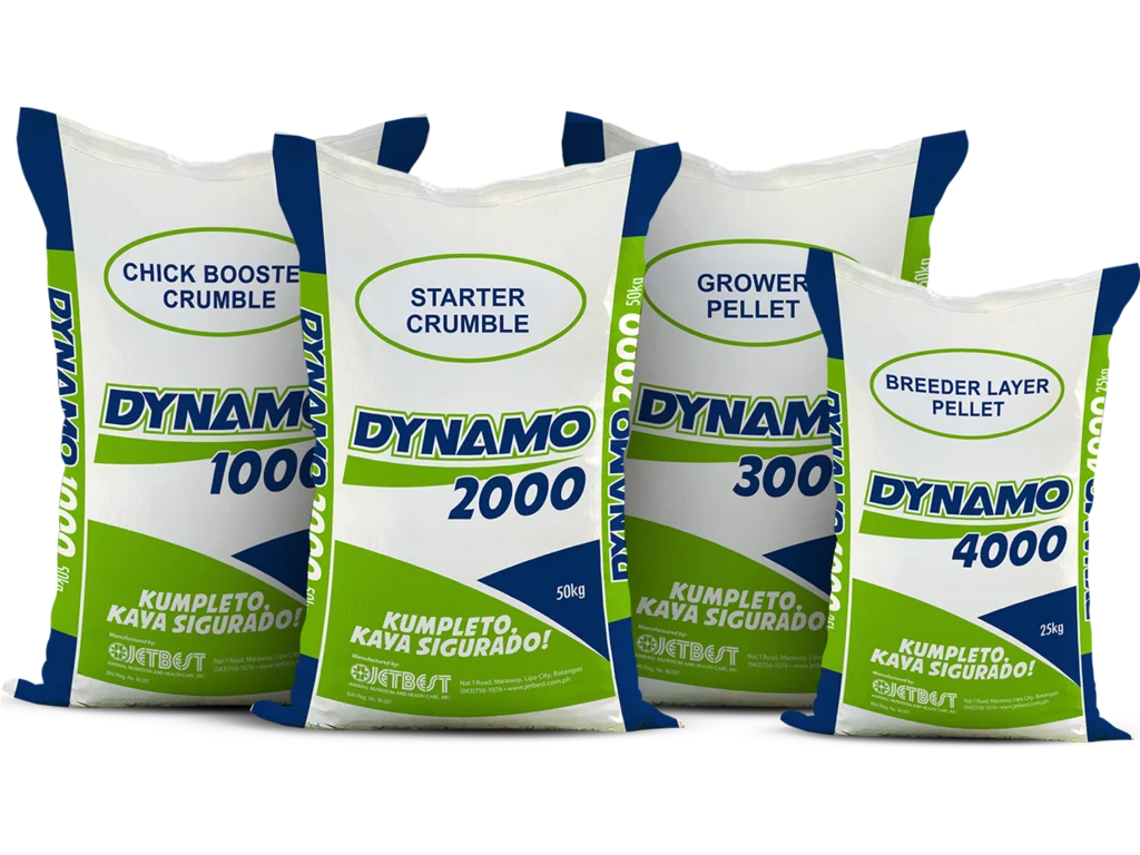 group_dynamo