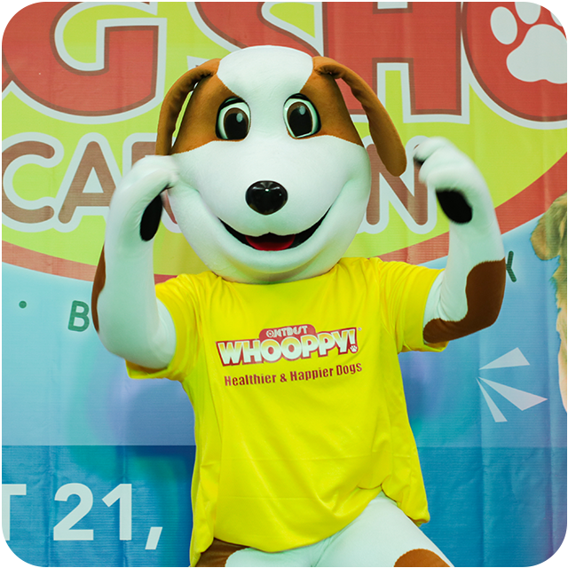dog-show-caravan
