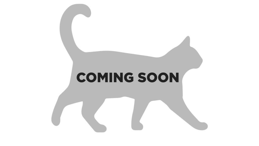 coming soon-jetbest