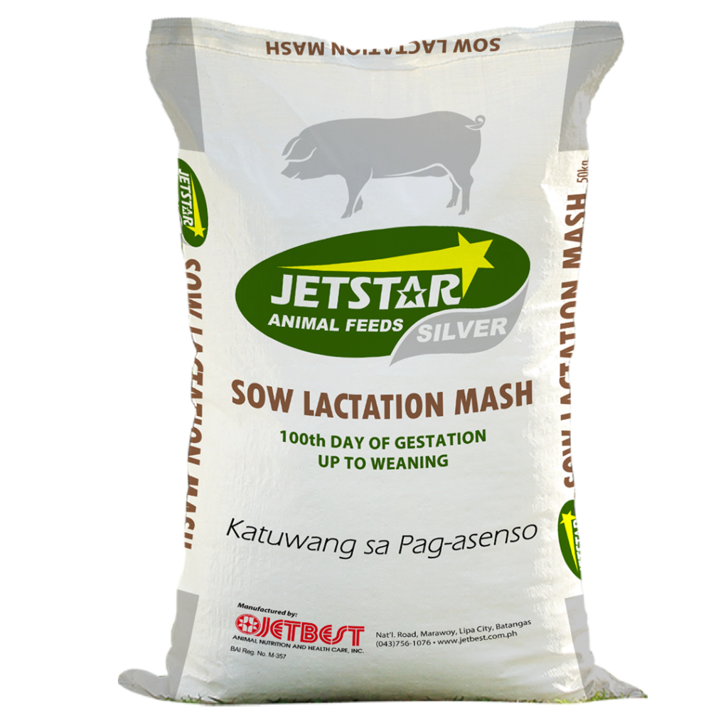 jssilver_lactationmash