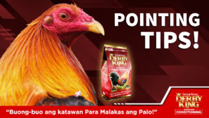 Pointing tips: Gawin ito bago ang laban!
