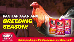 Paghandaan ang Breeding Season!