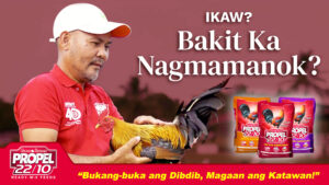Ikaw, bakit ka nagmamanok?