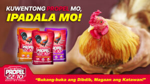 Kuwentong Propel mo, Ipadala mo!
