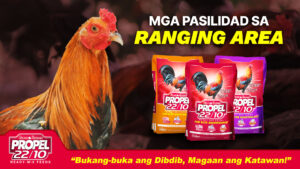 Mga Pasilidad sa Ranging Area!